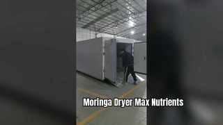 Suszarka z pompą ciepła Coattech o mocy 7 KM | Przemysłowe odwodnienie Moringi